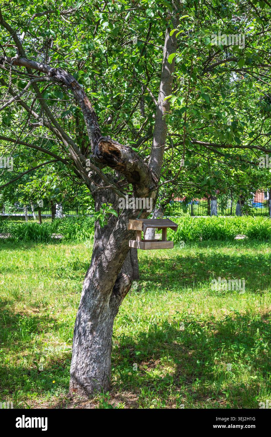Rustikaler Gartenbaum mit handgefertigtem Holzvogelfutter in sonnigem Park Stockfoto