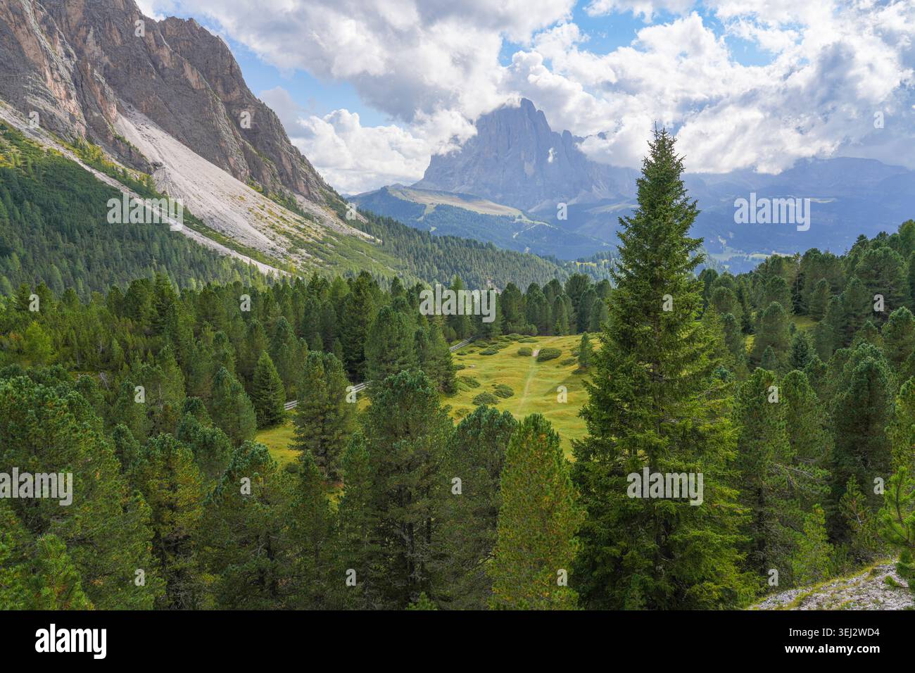 Das Langkofel-Massiv erhebt sich über den Wäldern, Blick vom Naturpark Puez-Geisler, Dolomiten, Italien Stockfoto
