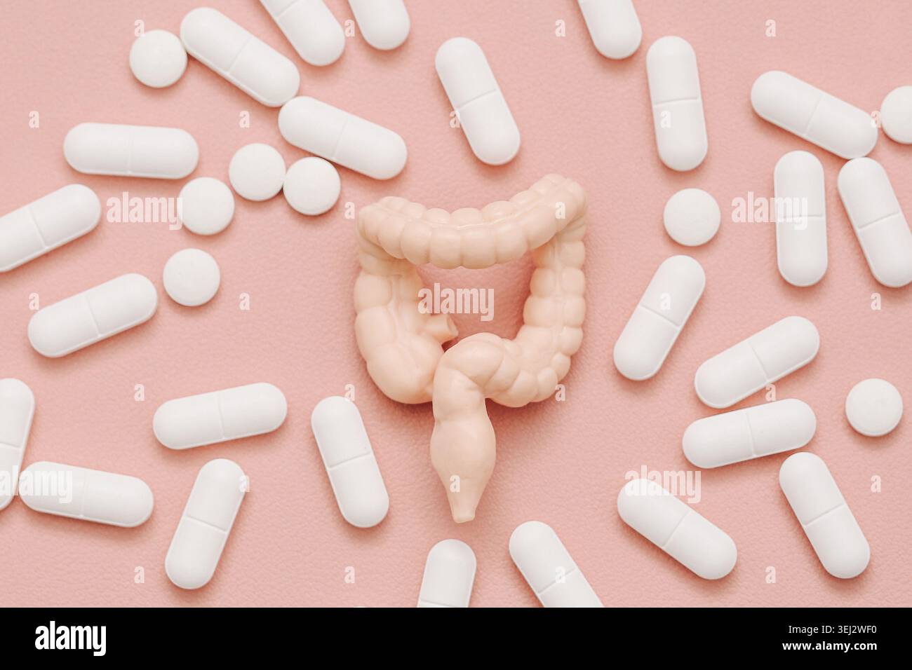 Menschliches Darmmodell umgeben von weißen Pillen-Nahaufnahme. Verdauungsmedizin und pharmazeutisches Behandlungskonzept auf rosa Hintergrund. Stockfoto