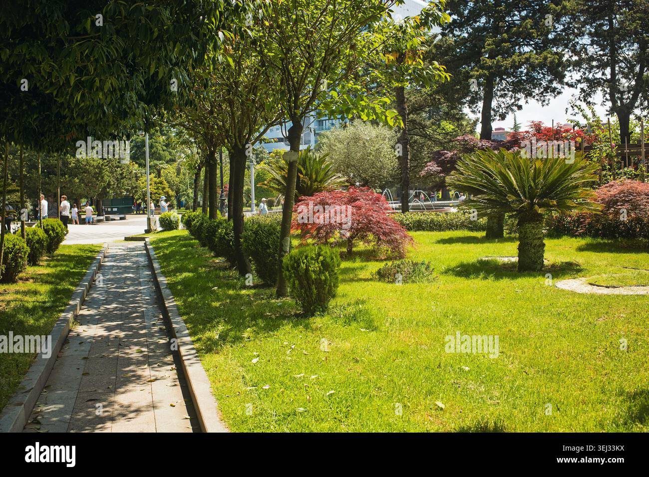 Batumi, Georgia - 23. Mai 2026: Ein sonnendurchfluteter Pfad durch einen üppig grünen Stadtpark in Batumi, umgeben von dekorativen Bäumen und Rasenflächen. Stockfoto