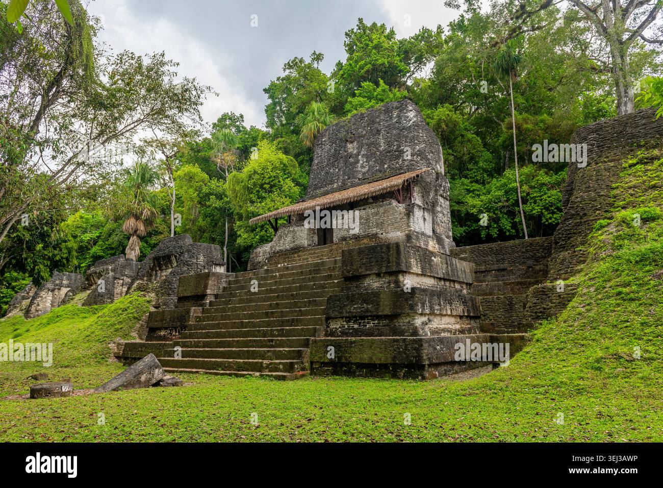 Verlorene maya-Ruinen von Tikal im Dschungel von Peten, Guatemala. Stockfoto