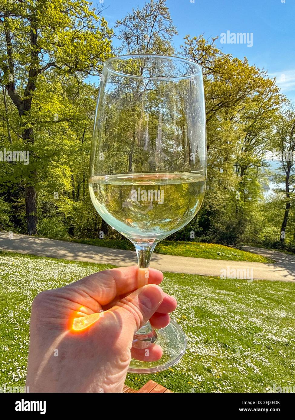 Nahaufnahme einer Person bei einem Picknick, die ein Glas gekühlten Weißwein vor der Landschaft in einem Park hält - Smartphone-aufgenommenes Stockfoto
