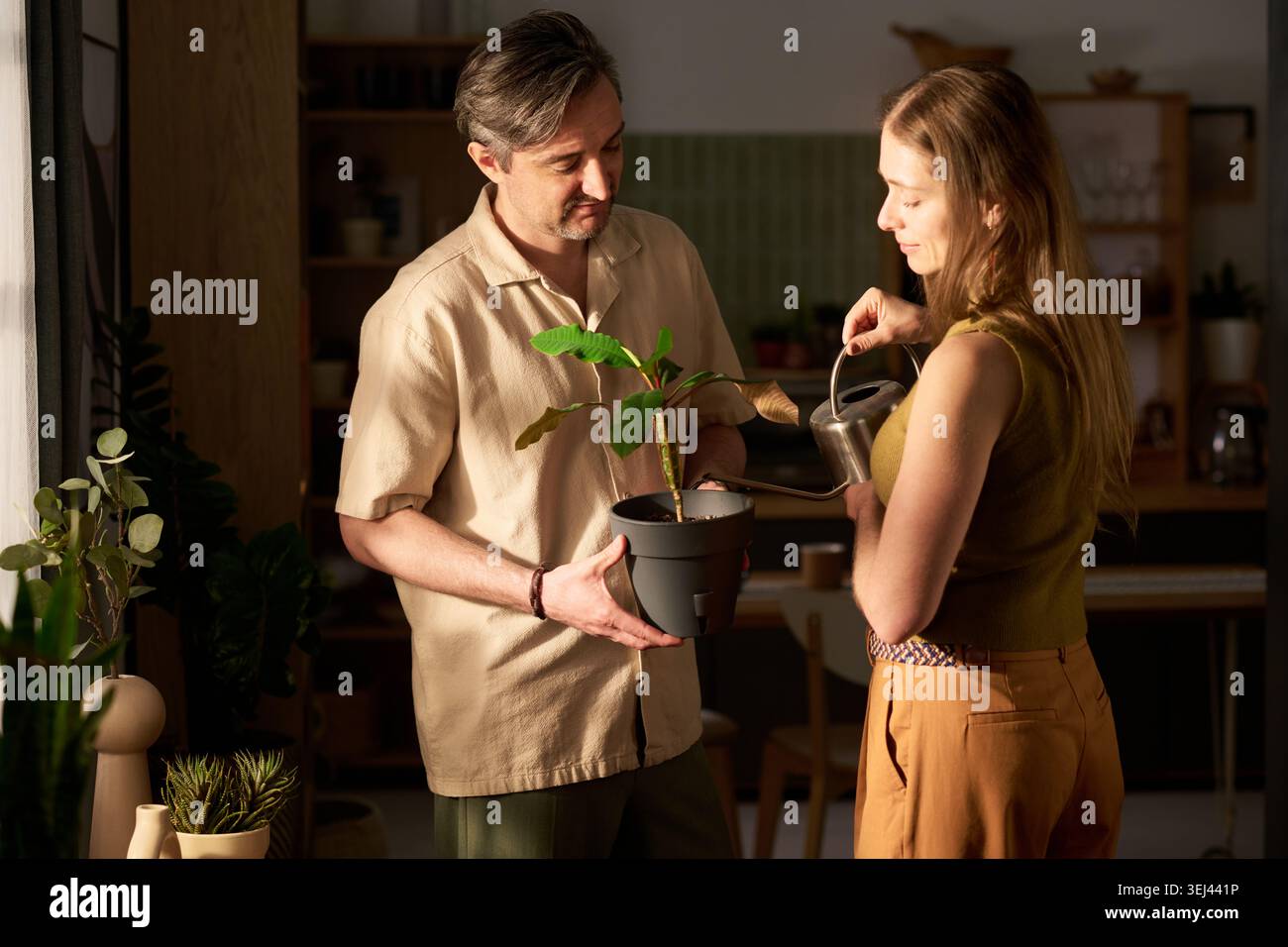 Erwachsenes Paar, das eine Zimmerpflanze gemeinsam bewässert, um ein nachhaltiges Wohnen zu ermöglichen Stockfoto