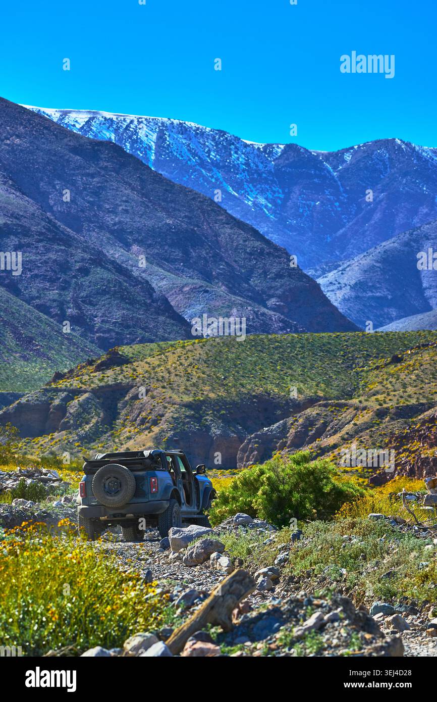Jeep Off Roading im Death Valley California mit Super Bloom und Mountain Landscape Stockfoto