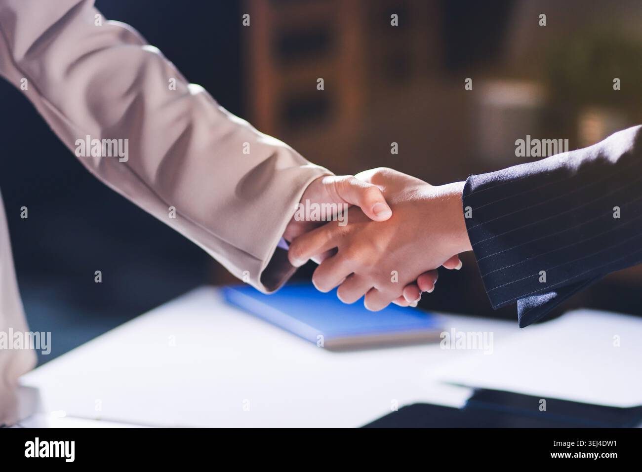 Business Partner die Hände schütteln. Konzept der Partnerschaft Stockfoto