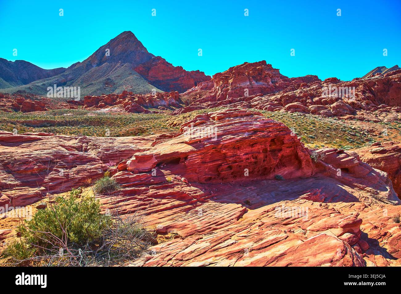 Rote Sandsteinformationen und Berggipfel in lebendiger Wüstenlandschaft Stockfoto