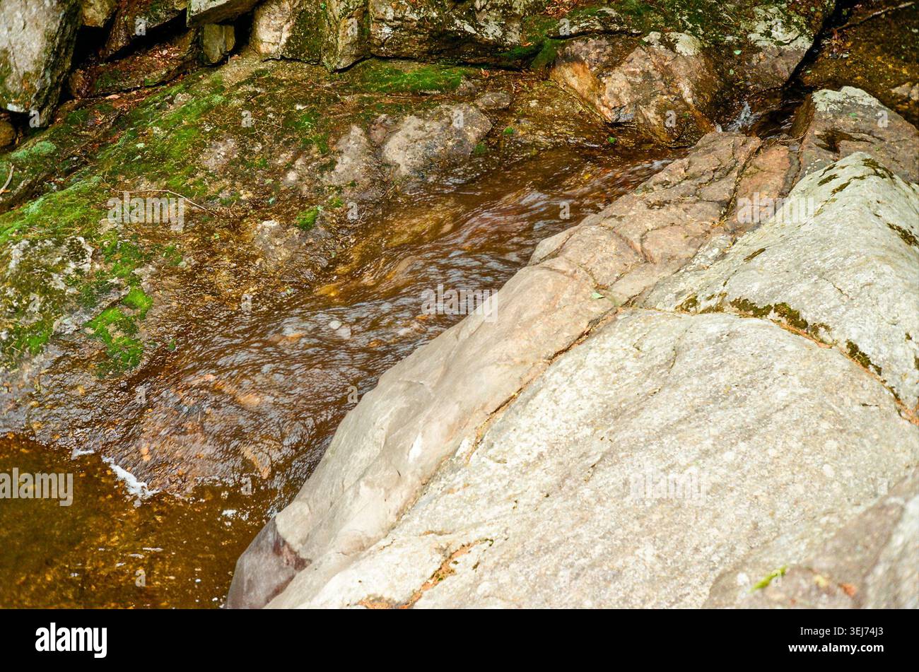 Rocky Mountain Stream mit Mossy Stones Stockfoto