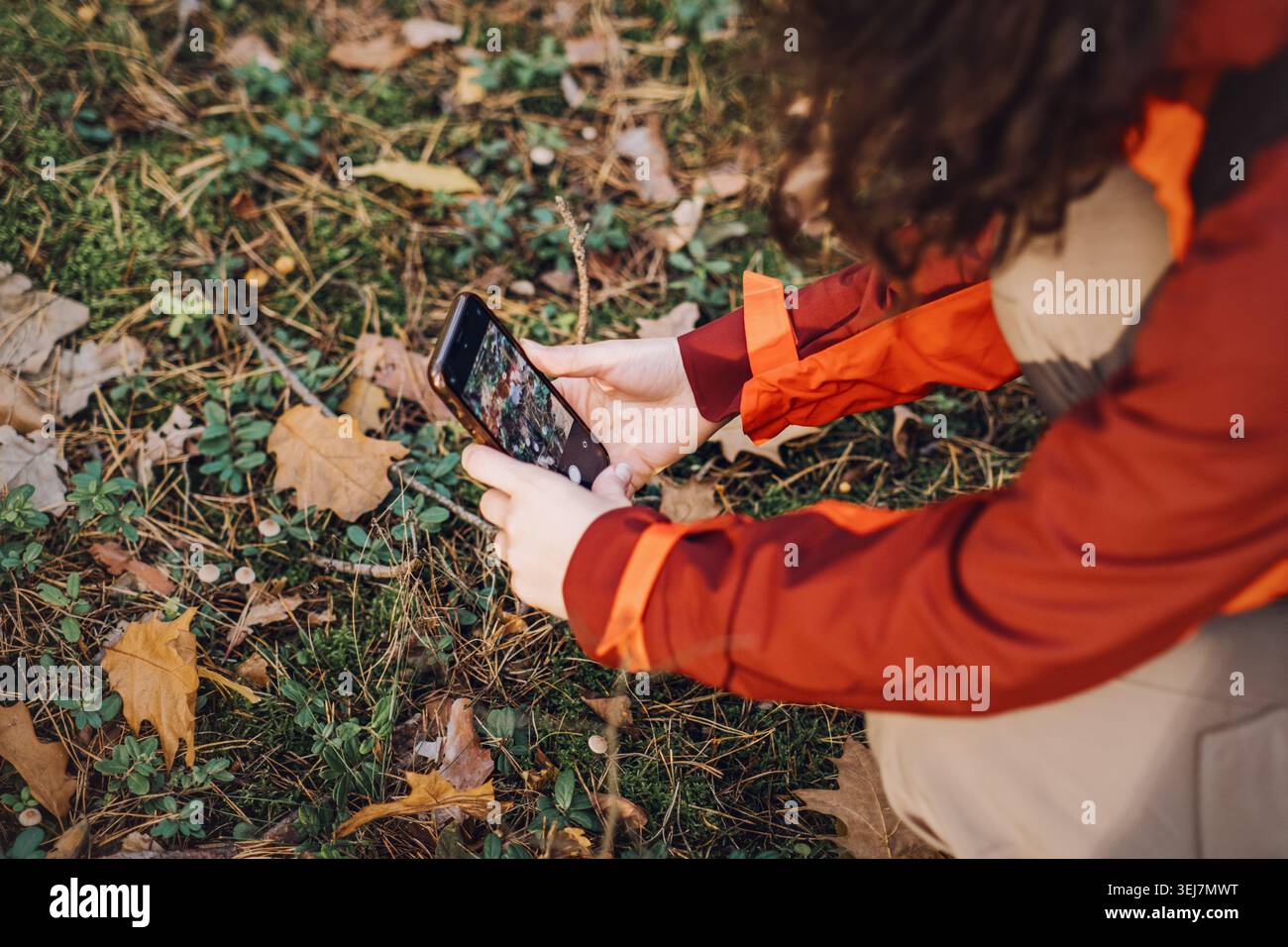 Hände fotografieren Pilze auf dem Waldboden mit dem Smartphone. Biodiversitätsüberwachung des neuronalen Netzes, Computer Vision Forest Research, KI Stockfoto
