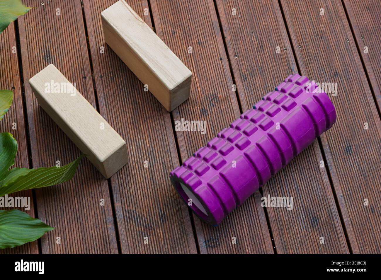 Lila Schaumstoffrolle und Yoga-Blöcke aus Holz Stockfoto