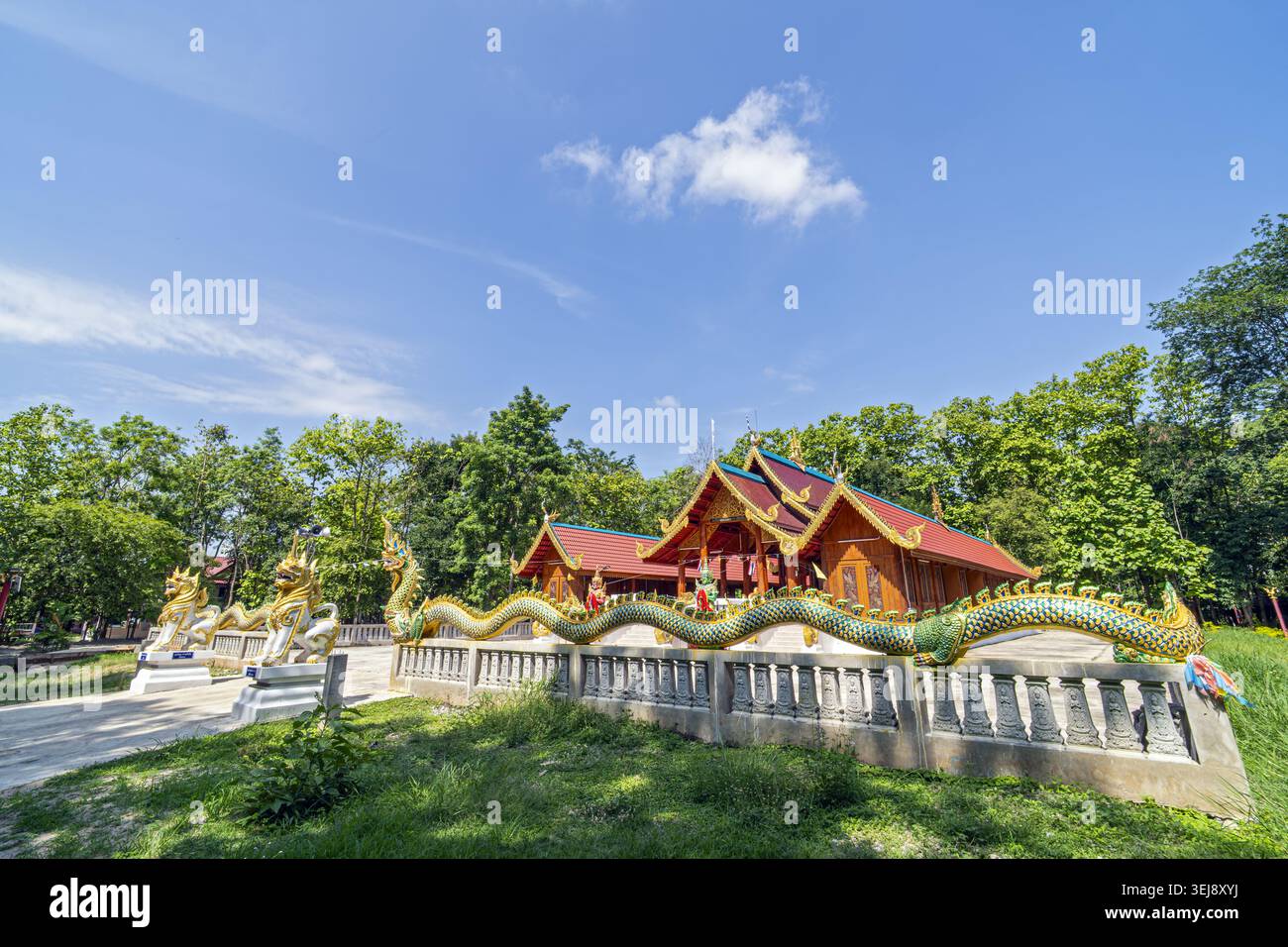 Dok Kham Tai, Phayao, Thailand - 28. Mai 2026: Wat Chaloem Phra Kiat (Wat San Pa Fang), mit Nagas gesäumte Treppe und Holzhalle unter Bäumen. Stockfoto