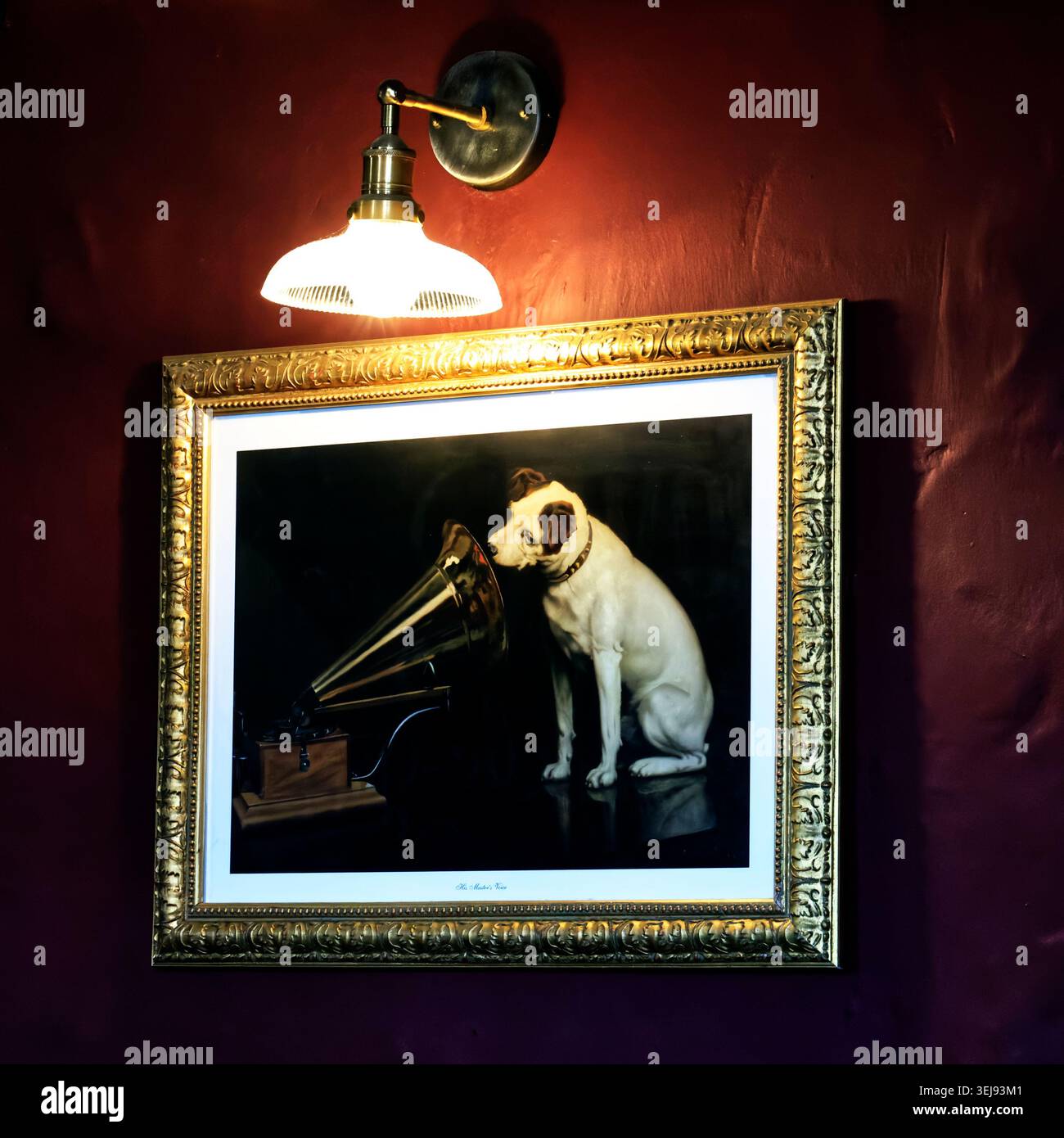 Seine Stimme des Meisters, gerahmter Druck, der an einer Wand hängt Stockfoto