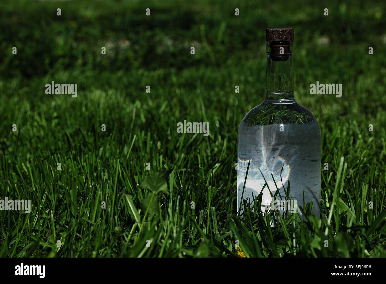 Eine einzelne Klarglasflasche gefüllt mit transparentem Alkohol wie Wodka oder Gin steht auf der rechten Seite eines üppig grünen Rasens. Auf der linken Seite befindet sich ein Stockfoto