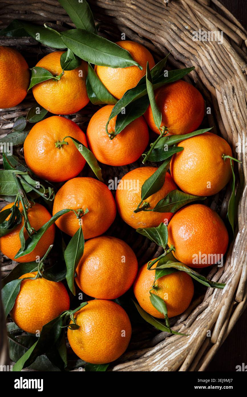 Ein rustikaler Korb gefüllt mit frischen Clementinen. Stockfoto
