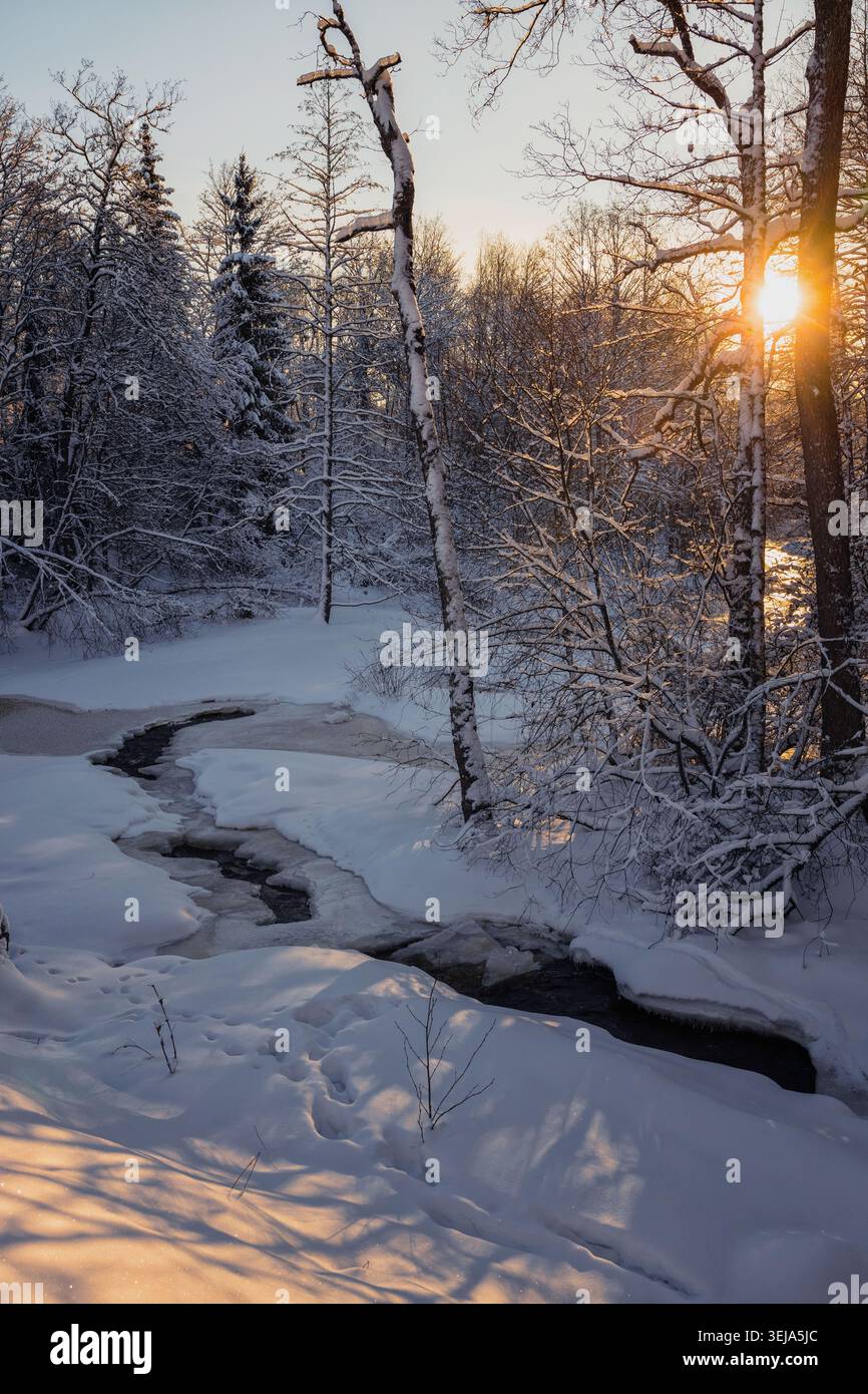 Gumböle, Finnland - 2024-01-06: Eine wunderschöne Winterlandschaft mit einem sich windenden Bach, der teilweise von Schnee und Eis bedeckt ist und von schneebedeckten Tre umgeben ist Stockfoto