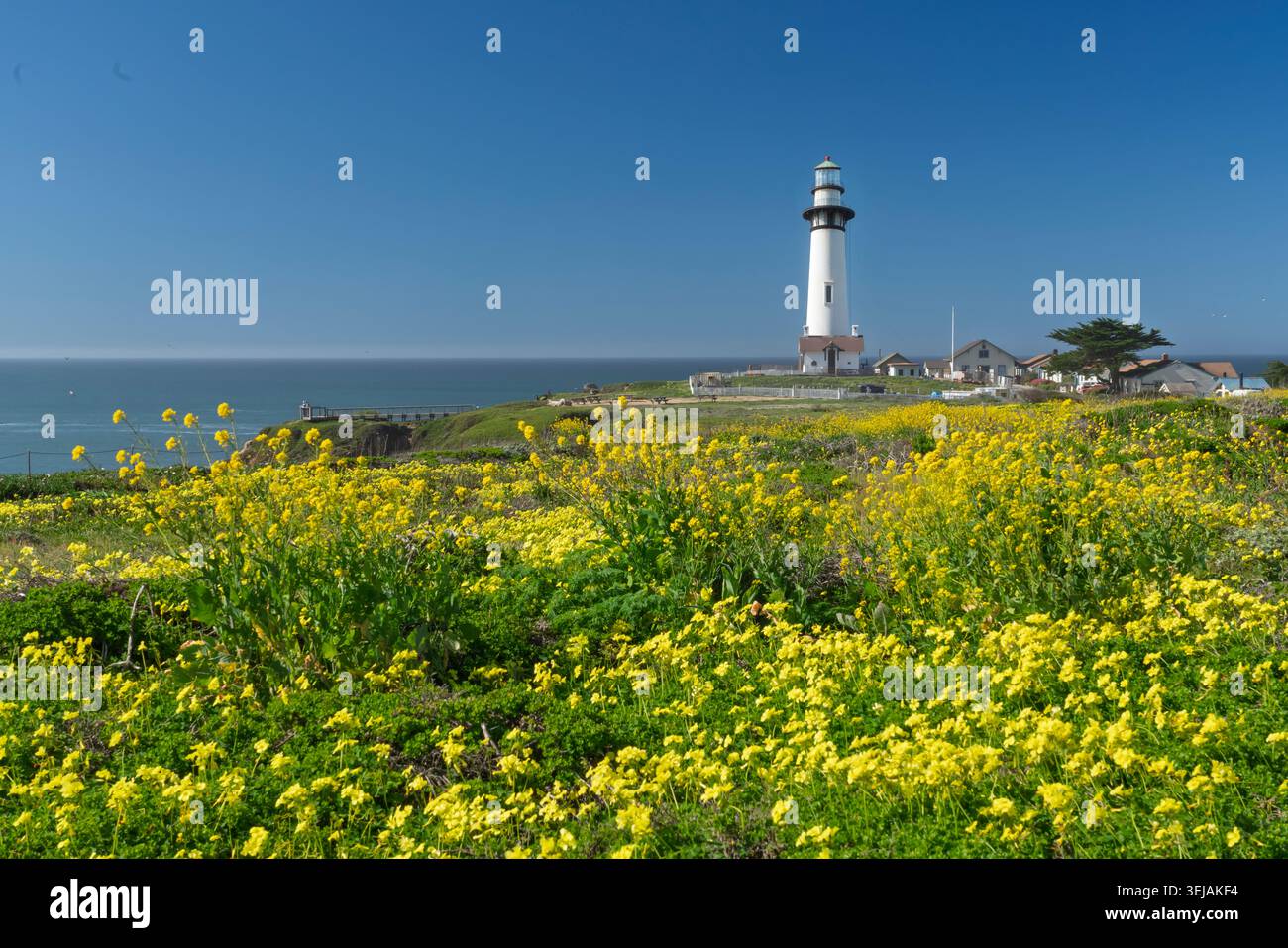 Die Pigeon Point lightstation am Pigeon Point Bluffs entlang des Pacific Coast Highway 1, Kalifornien, USA. Stockfoto