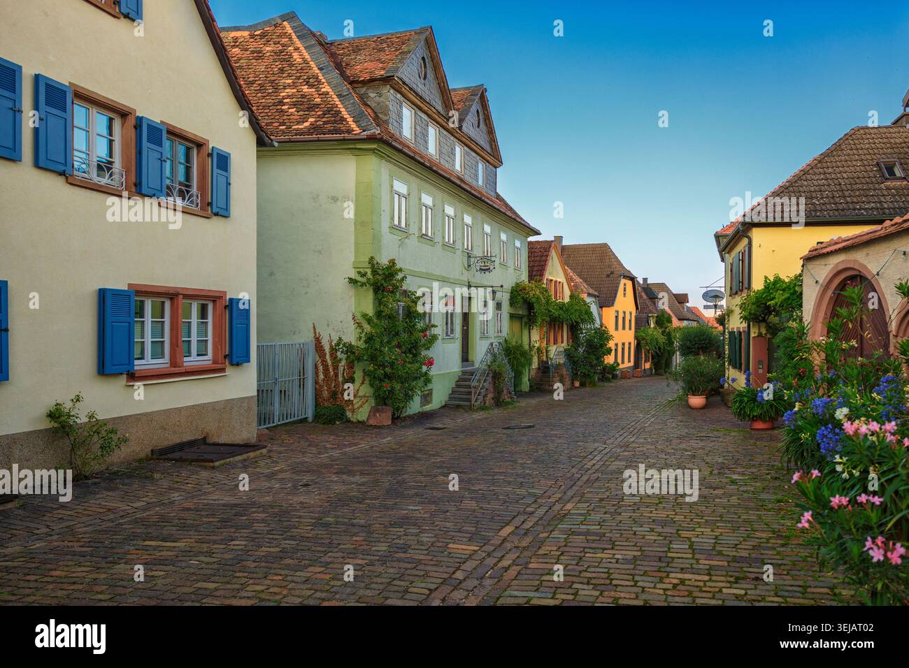 Rhodt unter Rietburg, Deutschland - 10.08.2023: Charmante Dorfstraße mit traditionellen Stuckbauten, blauen Fensterläden und blühenden Blumen Stockfoto
