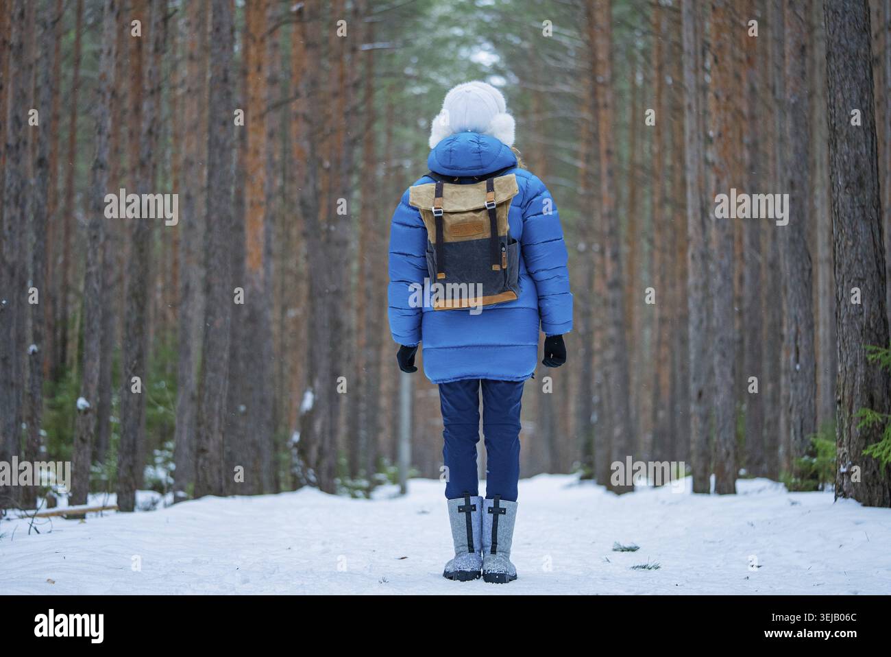 Eine Frau in warmer Winterkleidung und mit Rucksack geht auf einem verschneiten Pfad, umgeben von hohen Kiefern, die die ruhige Schönheit umschmeicheln Stockfoto