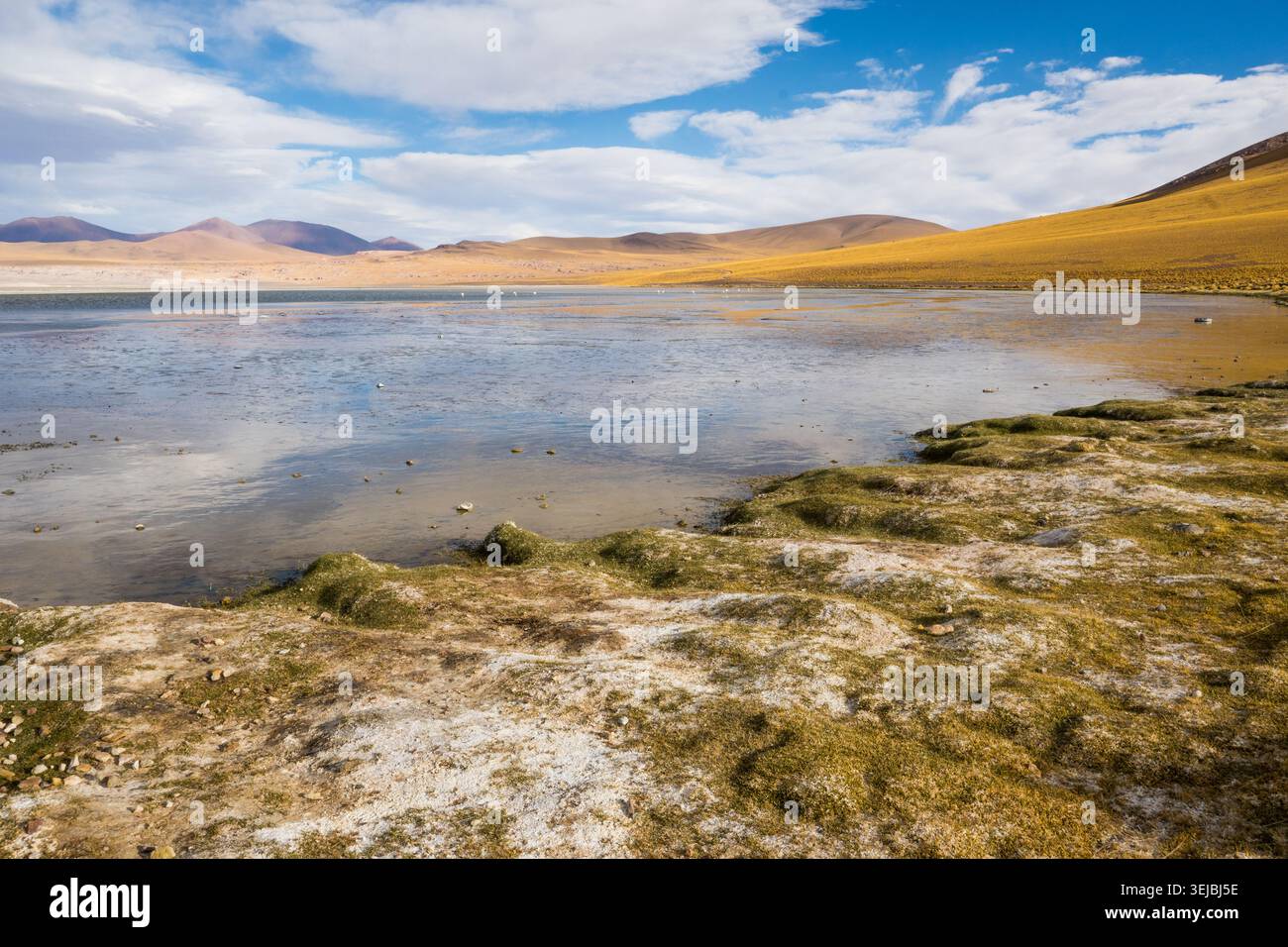 Salar del Laco, Region Antofagasta, Chile Stockfoto
