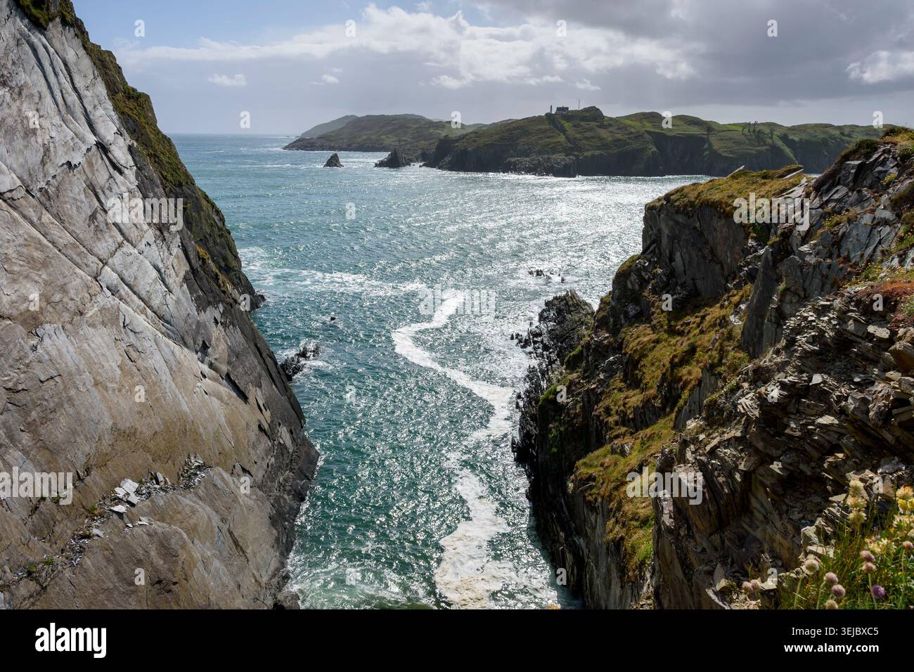 Blick auf Sherkin Island von den Klippen unterhalb des Baltimore Beacon, in der Nähe von Baltimore Village, Co. Cork, Irland. Stockfoto