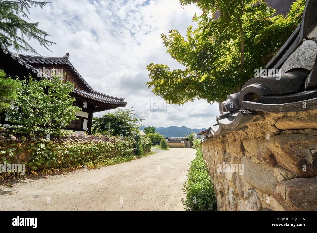 Ein ruhiger, unbefestigter Pfad, gesäumt von traditionellen Steinmauern in Damyangs Changpyeong Slow City. Üppige Grünflächen und ein Hanok Dach unterstreichen Koreas Erbe. Stockfoto