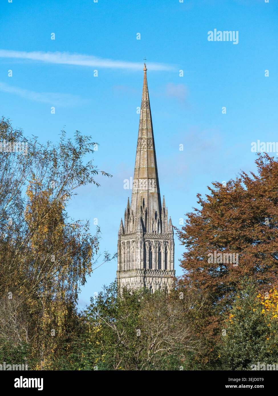 Der Turm der Salisbury Cathedral betrachtet durch Herbstbäume, Salisbury, Wiltshire, UK. Stockfoto
