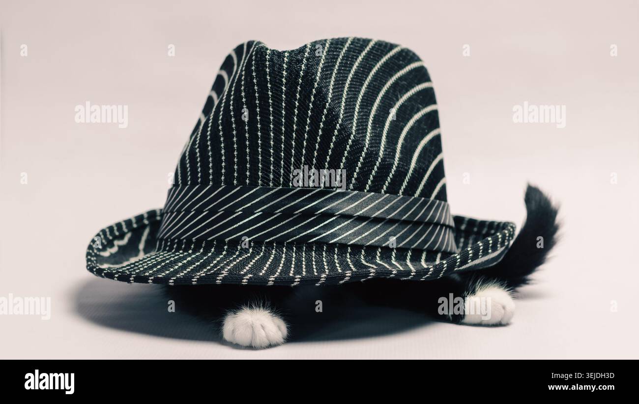 Schwarzes Kätzchen mit weißen Pfoten unter einem gestreiften schwarzen Hut Stockfoto