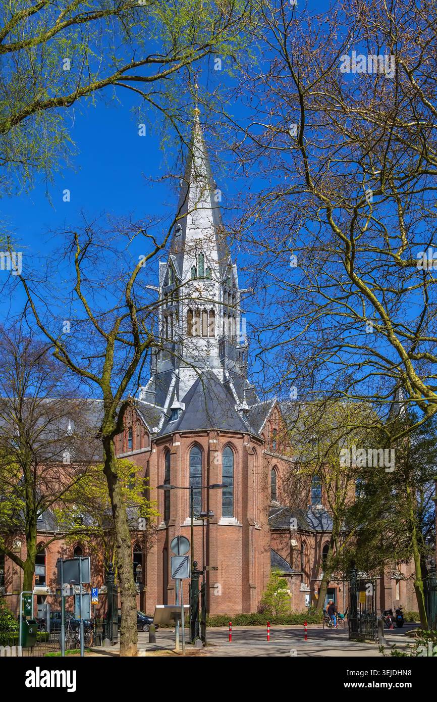 Vondelkerk (Vondelkirche), Amsterdam, Niederlande Stockfoto