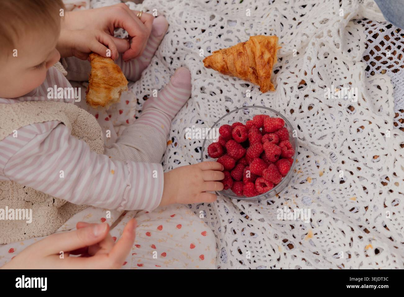 Ein entspanntes Familienpicknick im Wald an einem sonnigen Tag Stockfoto