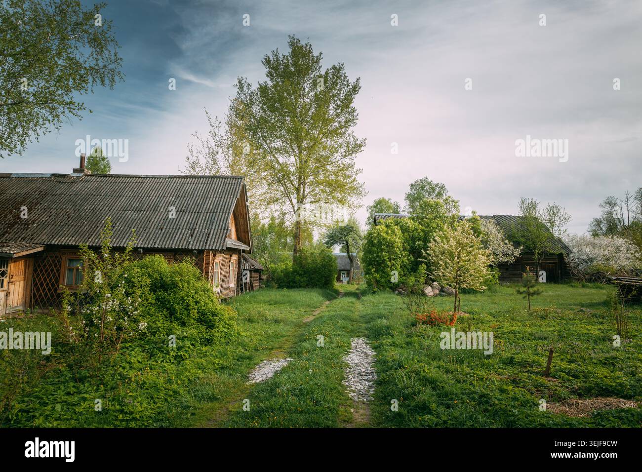 Altes Holzhaus an einer Landstraße in Weißrussland Stockfoto