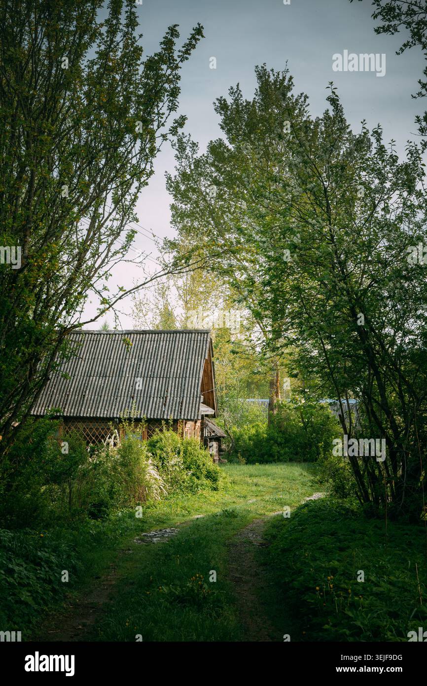 Altes Holzhaus an einer Landstraße in Weißrussland Stockfoto