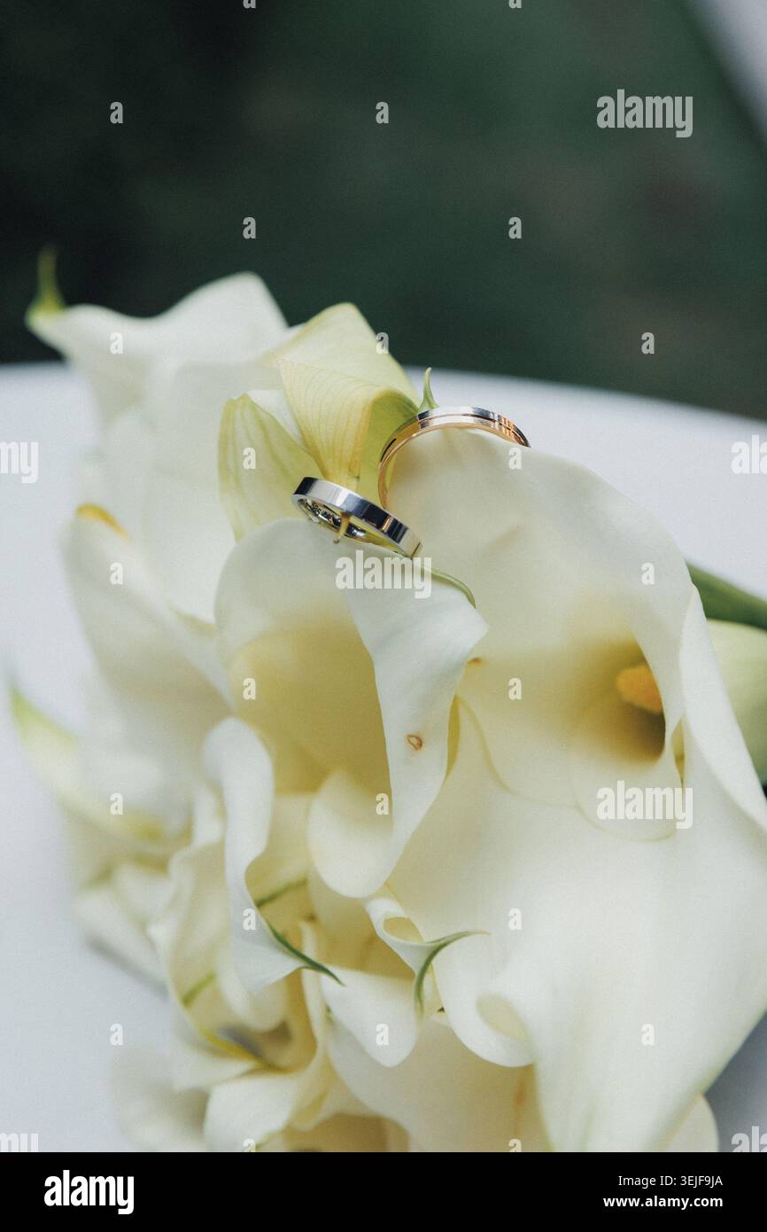Zwei Ringe liegen sanft auf weißen Calla-Lilien Stockfoto