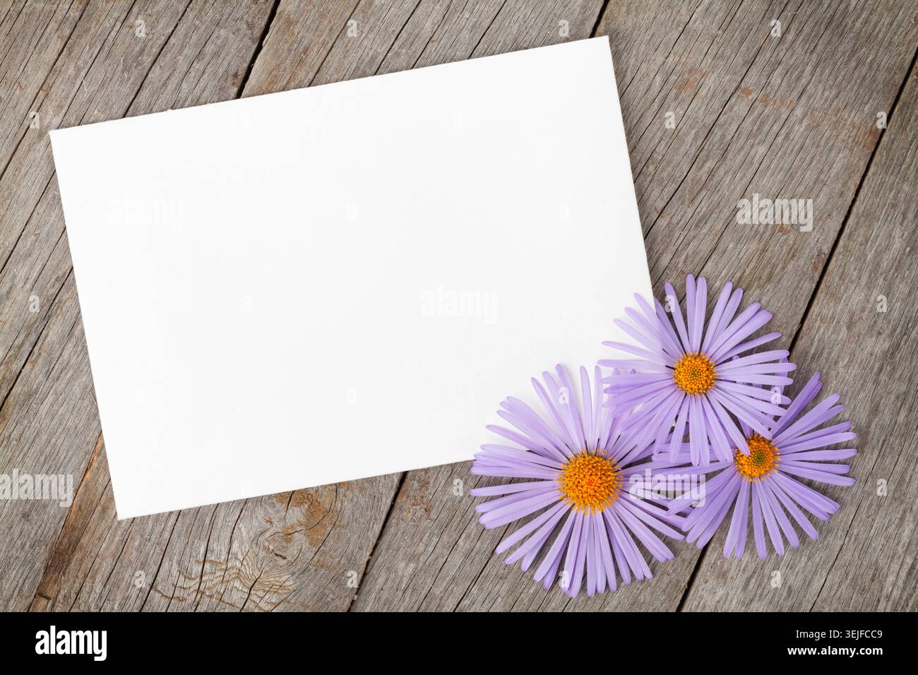 Bilderrahmen und Gerbera-Blumen Stockfoto