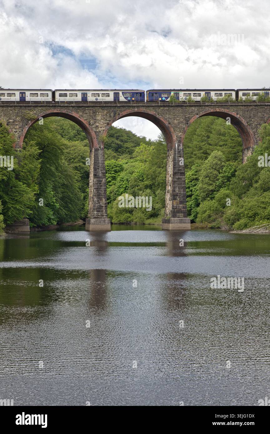 Ein Zug über die großen Steinsäulen des Armsgrove Viaduct im Wayoh Reservoir, Lancashire, Großbritannien, fährt über die gesamte Länge des Northern Personenverkehrszugs. Stockfoto