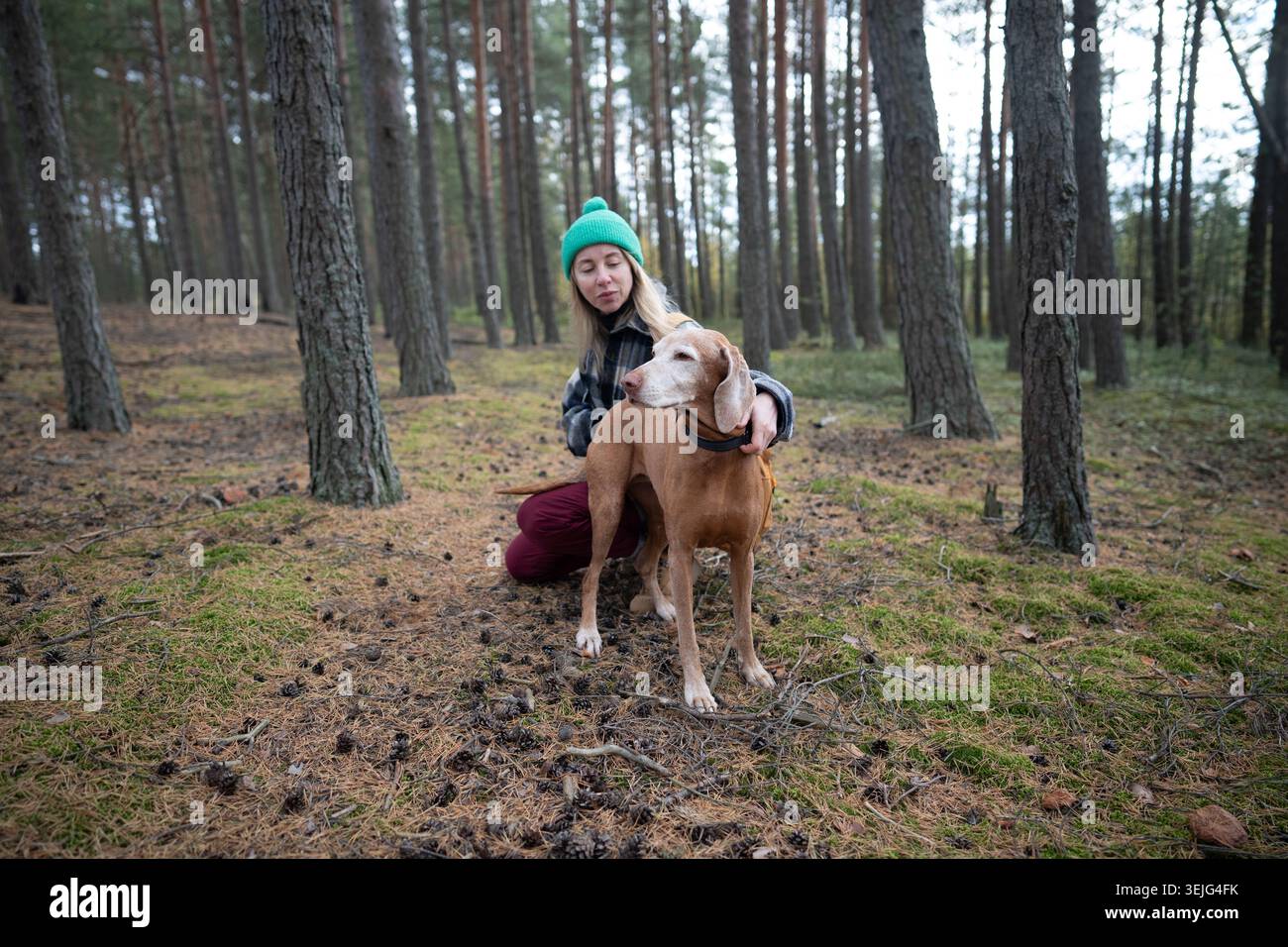 Frau Wanderer Haustierbesitzerin auf täglichem Spaziergang mit Hund im herbstlichen Kiefernwald, sitzend auf Wanderung mit Haustier. Stockfoto