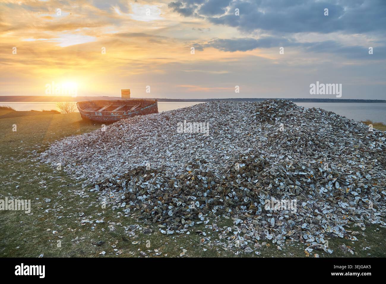 Ein großer Haufen Austernschalen befindet sich am Ufer eines Gewässers mit einem alten, verwitterten Boot in der Nähe. Der Himmel ist eine Mischung aus Wolken und Sonnenuntergangsfarben. Stockfoto