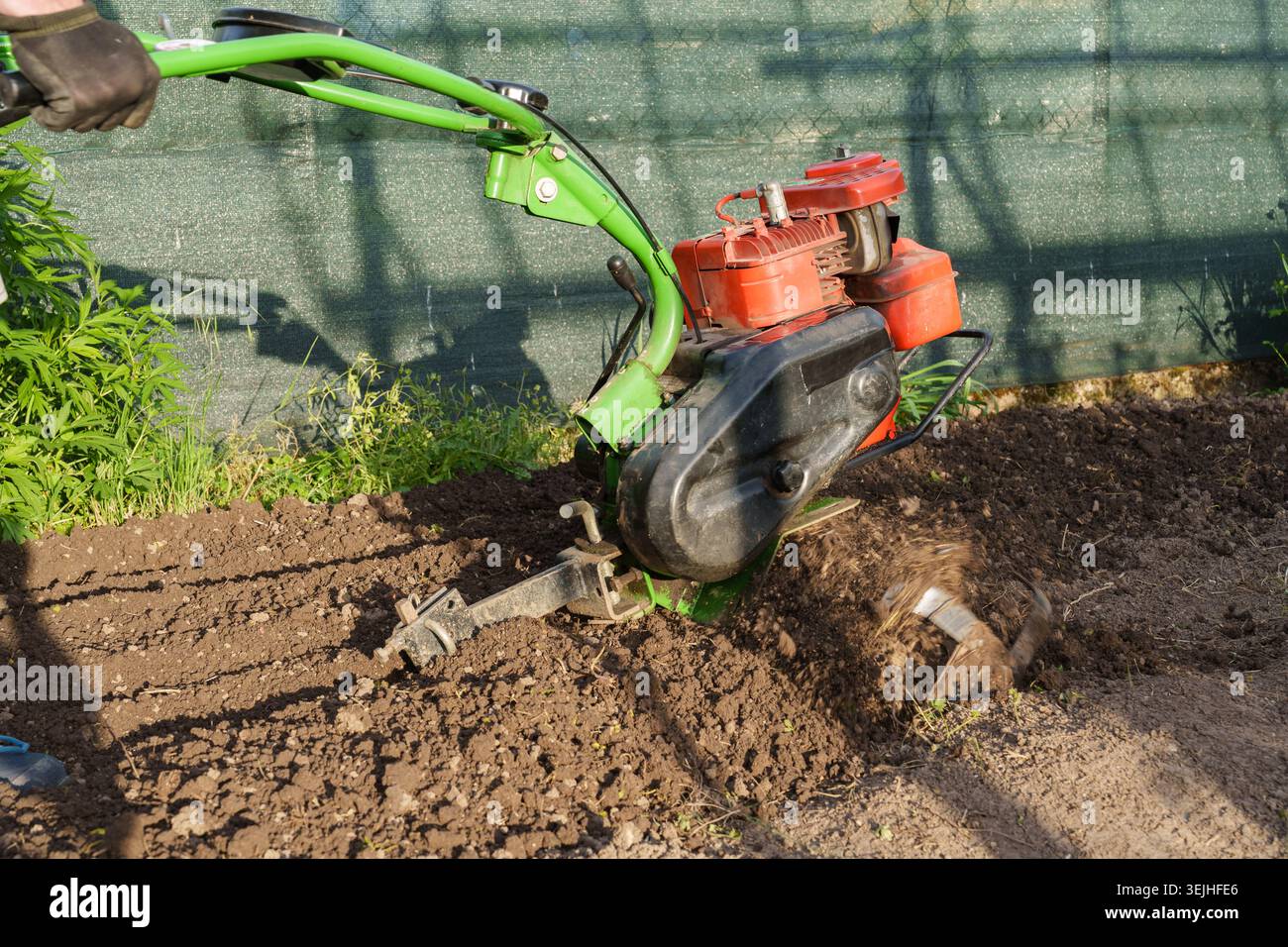 Mann mit Motorgrubber, um Boden im Garten vorzubereiten Stockfoto