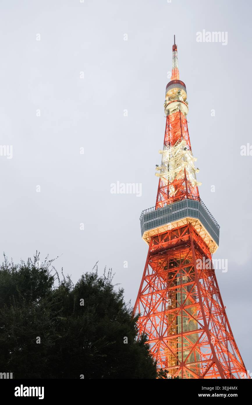 Tokio Tower, Wahrzeichen Japans, bedeckt Stockfoto