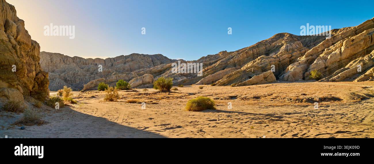 Box Canyon Wash in der Mojave-Wüste in Südkalifornien. Stockfoto