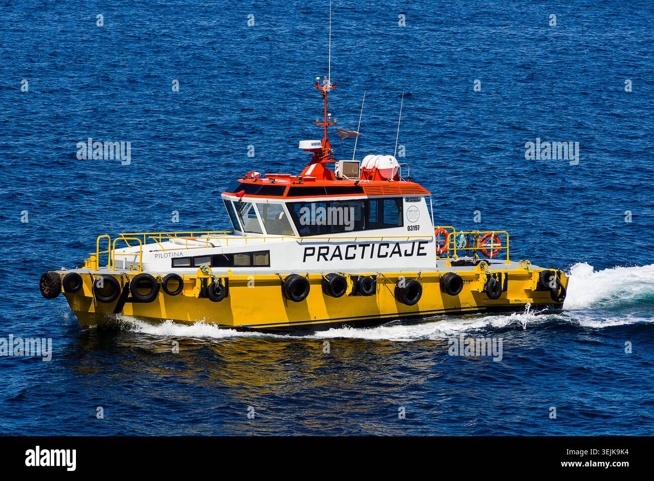 001-012025-1816 Stockfoto