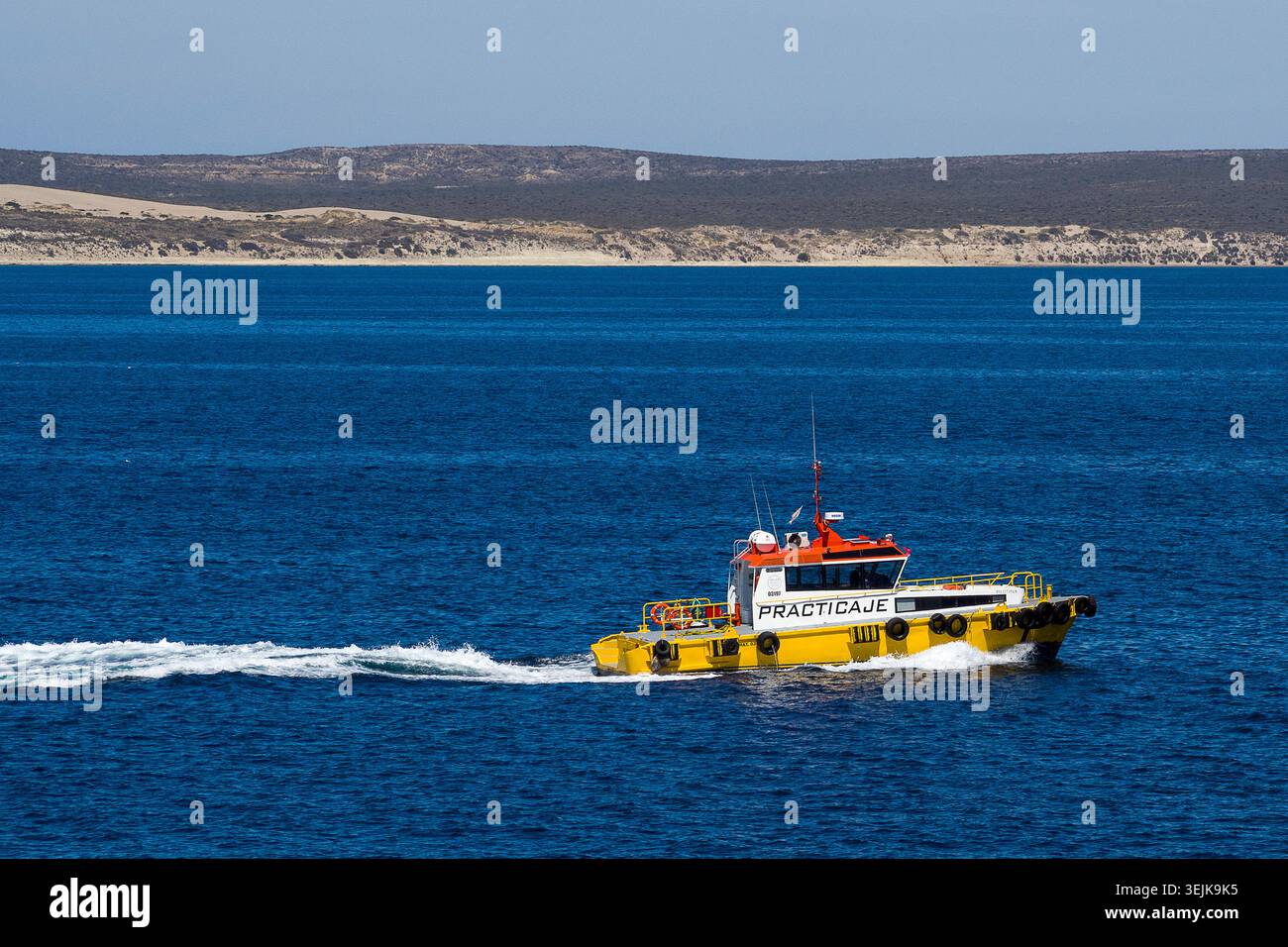 001-012025-1822 Stockfoto