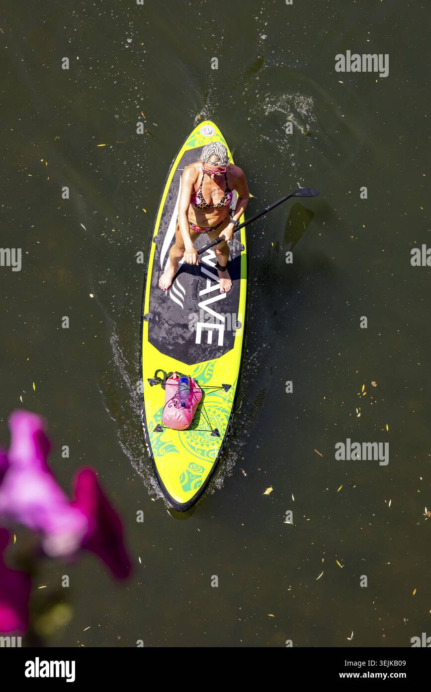 Frau, die Wassersport auf einem SUP am Neckar macht. Tübingen, Baden-Württemberg, Deutschland Stockfoto