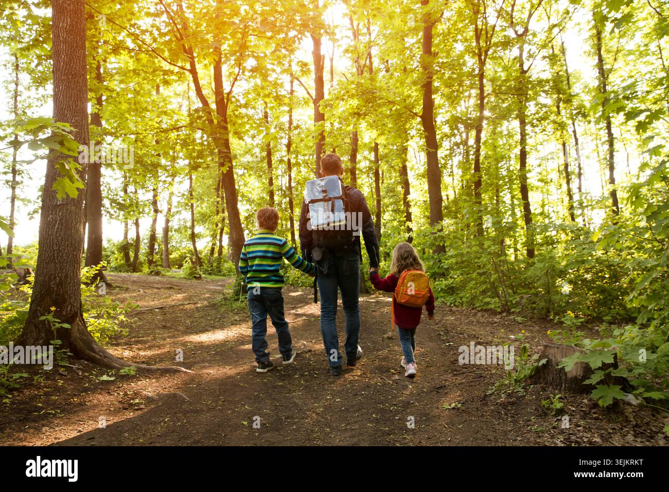 Vater und zwei Kinder mit Rucksack wandern im Wald. Soziale Distanzierung. Digitale Detox. Staycations, hyperlokale Reisen, Familie o Stockfoto