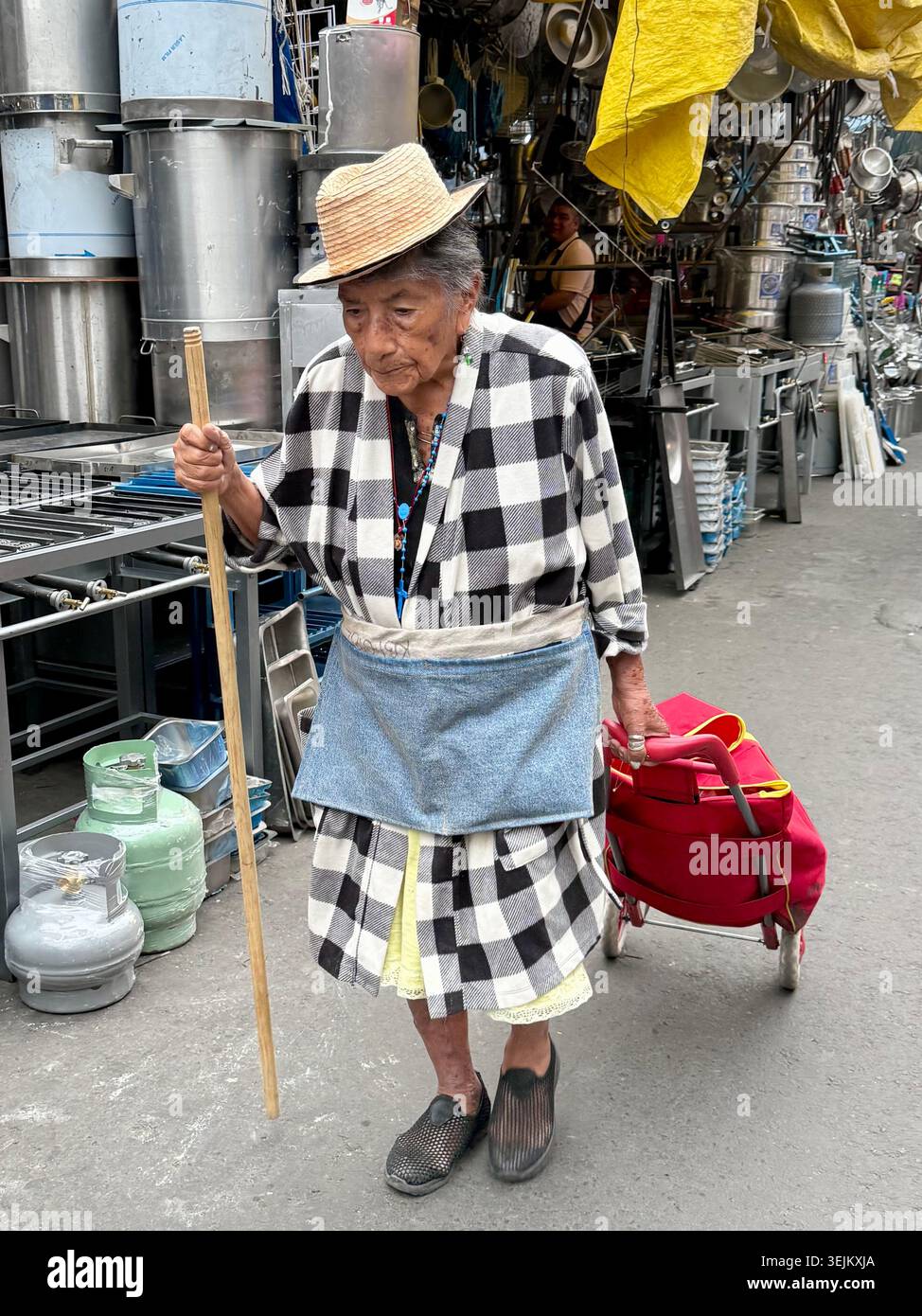 Eine ältere Frau mit einem Gehstock zieht einen Einkaufswagen durch den Mercado de La Merced in Mexiko-Stadt - Smartphone-aufgenommenes Stockfoto