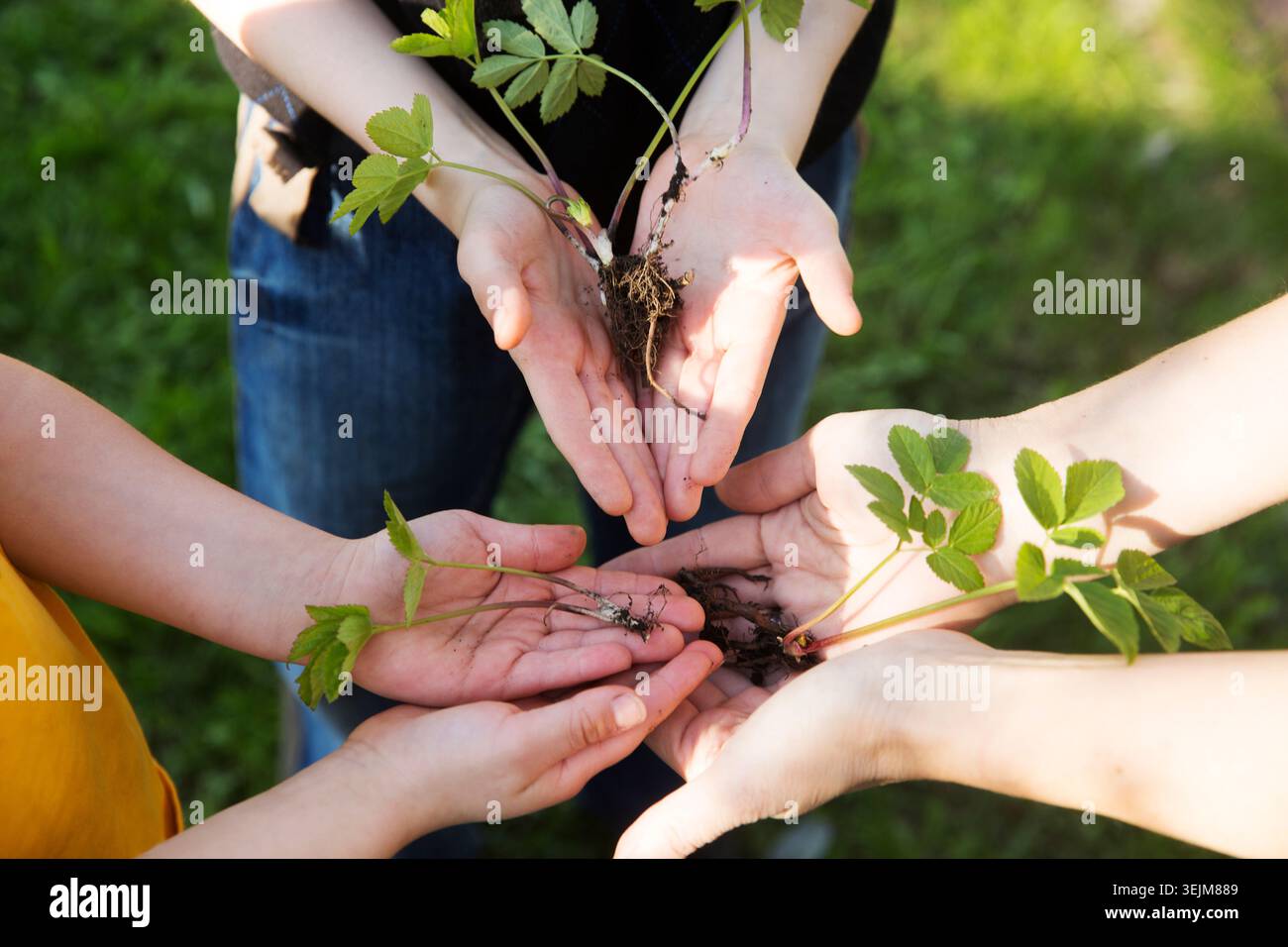 Konzept des Erdtags, Bio-Gartenbau, Ökologie. Die Hände eines Erwachsenen und eines Kindes halten die Setzlinge im Garten an einem Frühlingstag Stockfoto