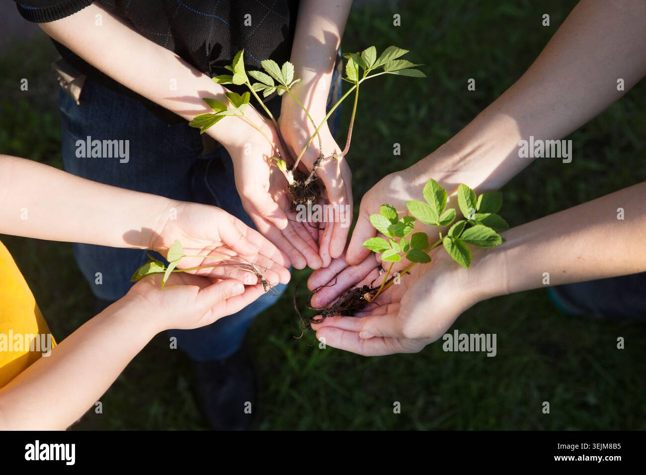 Konzept des Erdtags, Bio-Gartenbau, Ökologie. Die Hände eines Erwachsenen und eines Kindes halten die Setzlinge im Garten an einem Frühlingstag Stockfoto
