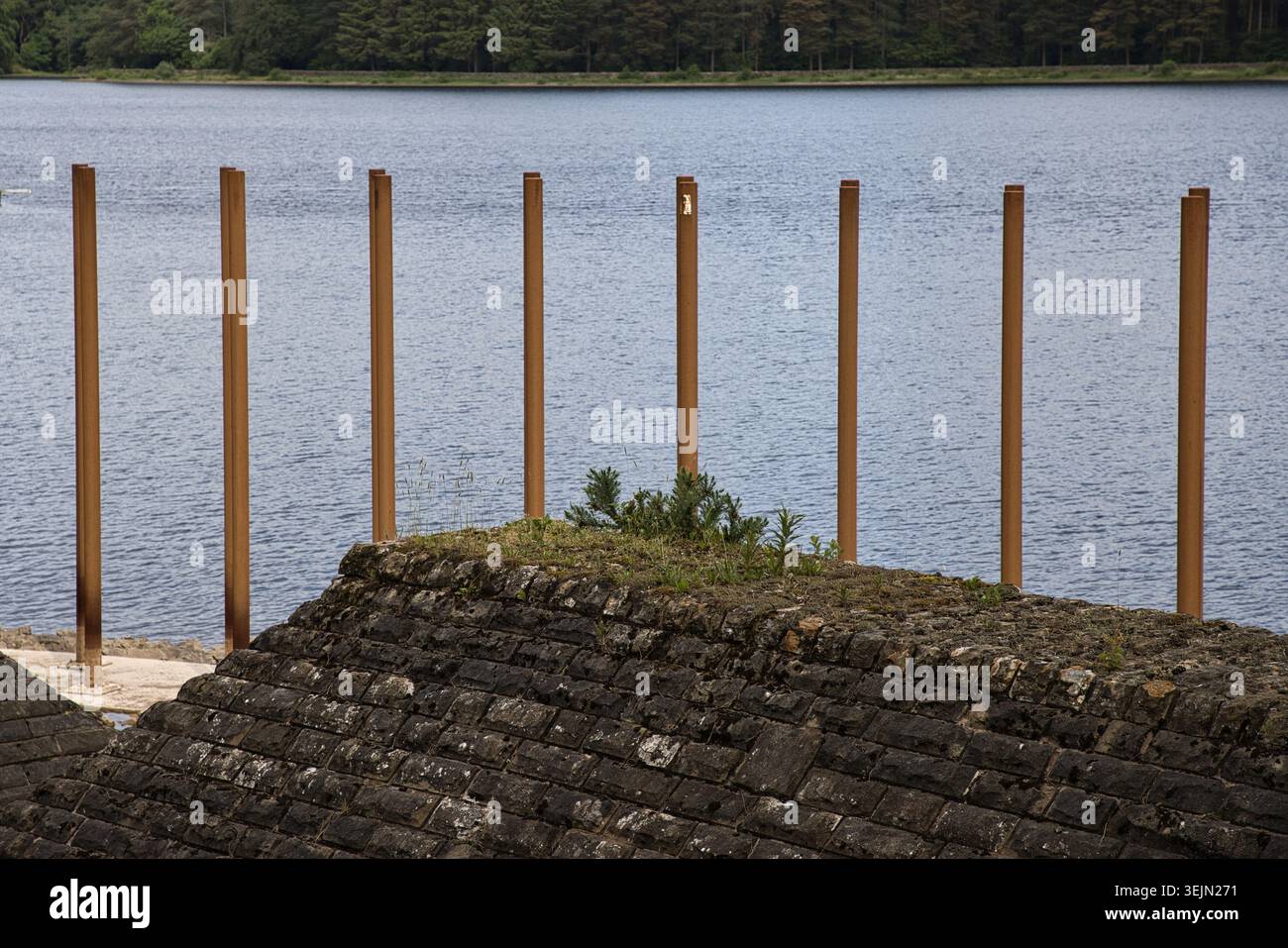 Eine Nahaufnahme der vertikalen Sicherheitsstäbe aus Metall, die an einer Überlaufstruktur aus Stein im Entwistle Reservoir, Lancashire, Großbritannien, befestigt sind. Stockfoto