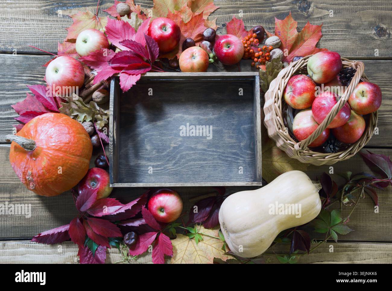 Stillleben im Herbst. Frisches Herbstobst, reife Äpfel, Kürbis und Holztablett auf dem Tisch. Kopierbereich. Stockfoto