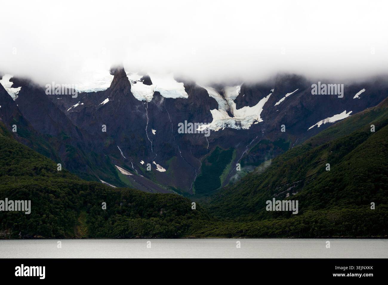 001-012025-1185 Stockfoto
