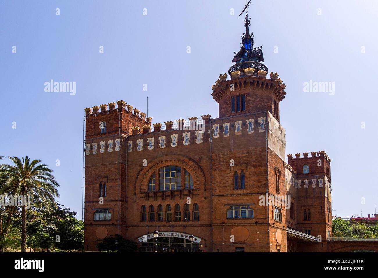 003-62025-1071 Stockfoto