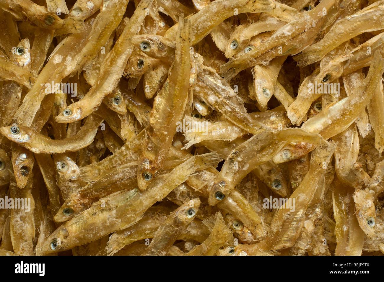 Nahaufnahme von kleinen getrockneten Fischen in Vollformat-Hintergrundstruktur, konservierte Meeresfrüchte von oben, asiatisches kulinarisches Zutatenkonzept Stockfoto